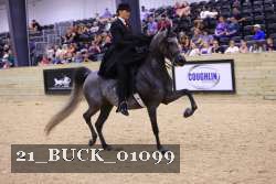 21_BUCK_01099 proof