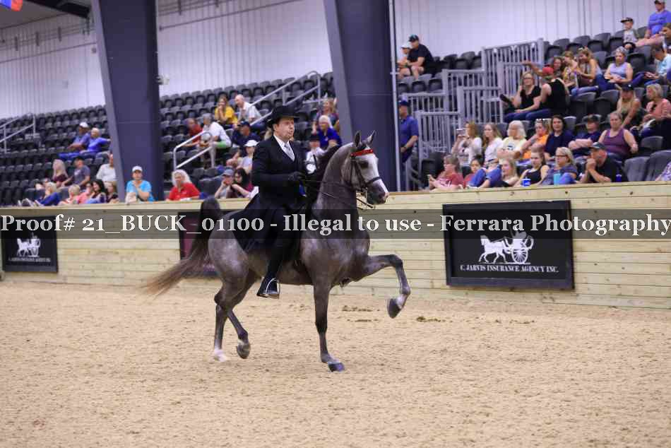 Proof 21_BUCK_01100