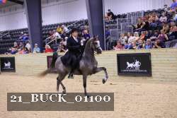 21_BUCK_01100 proof