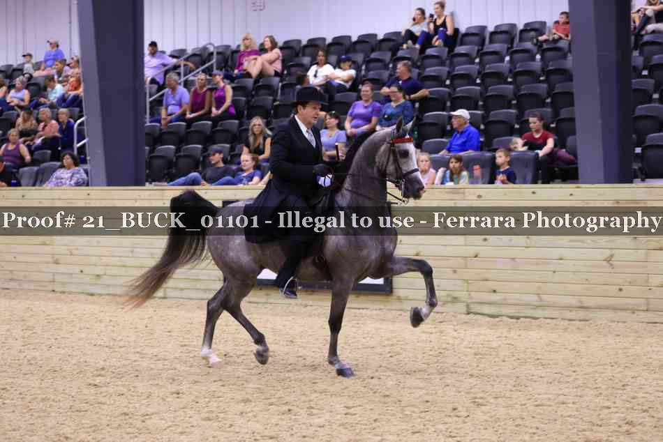 Proof 21_BUCK_01101
