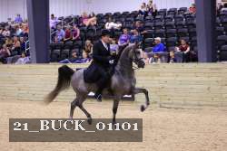 21_BUCK_01101 proof