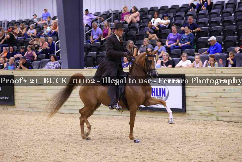 Proof 21_BUCK_01102