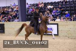 21_BUCK_01102 proof