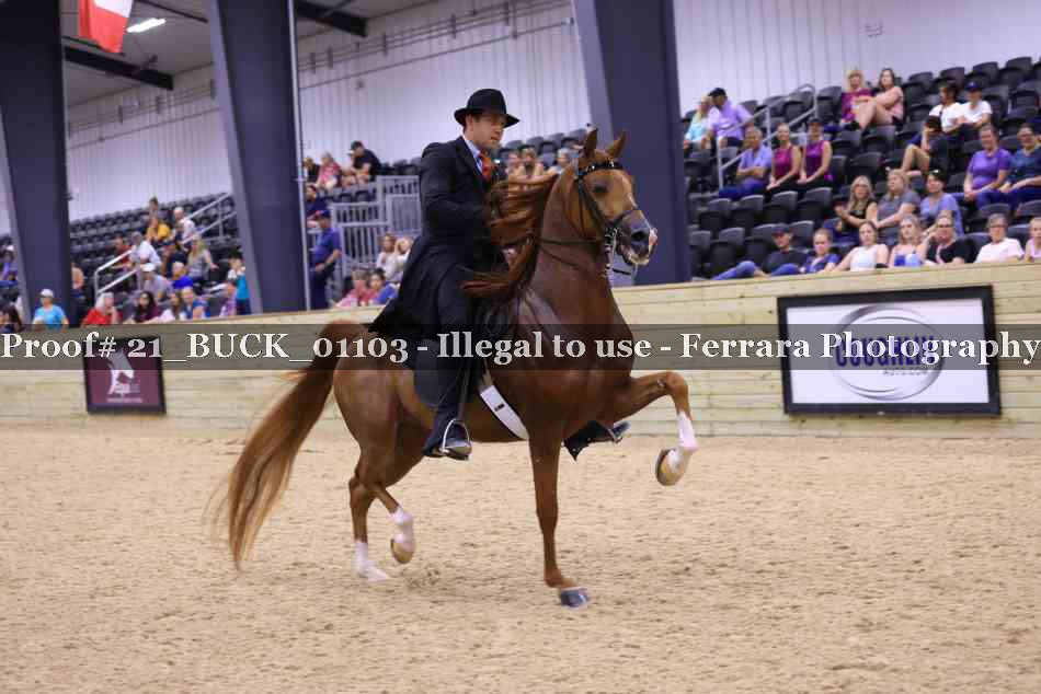 Proof 21_BUCK_01103