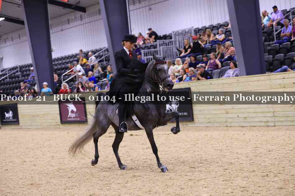 Proof 21_BUCK_01104