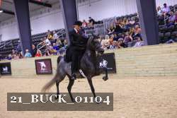 21_BUCK_01104 proof