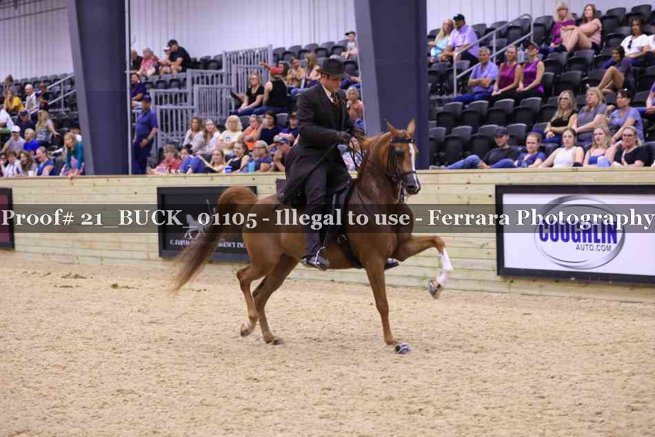 Proof 21_BUCK_01105