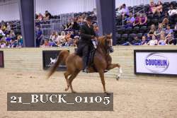 21_BUCK_01105 proof