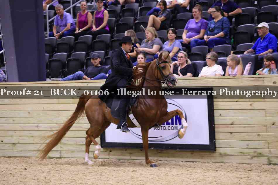Proof 21_BUCK_01106