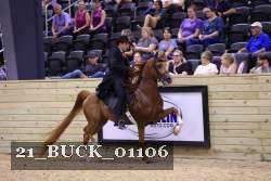 21_BUCK_01106 proof