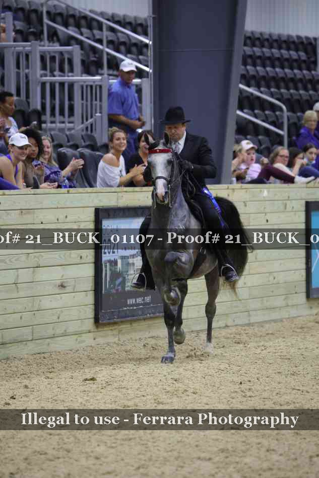Proof 21_BUCK_01107