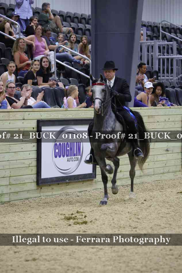 Proof 21_BUCK_01108