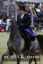 21_BUCK_01110 proof