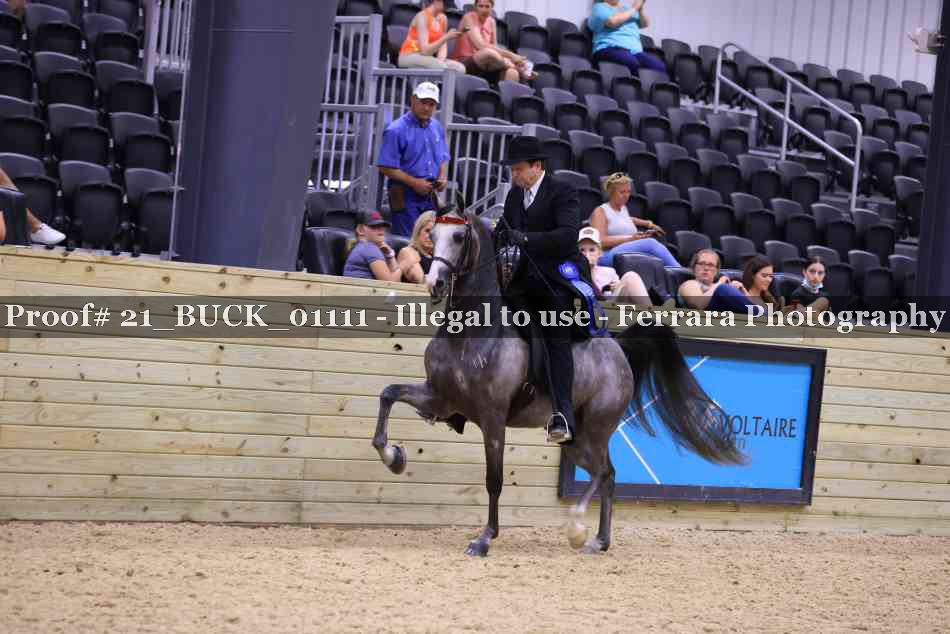 Proof 21_BUCK_01111