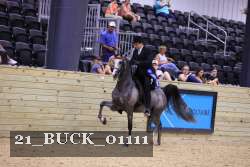 21_BUCK_01111 proof