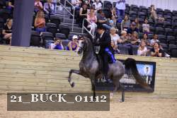 21_BUCK_01112 proof
