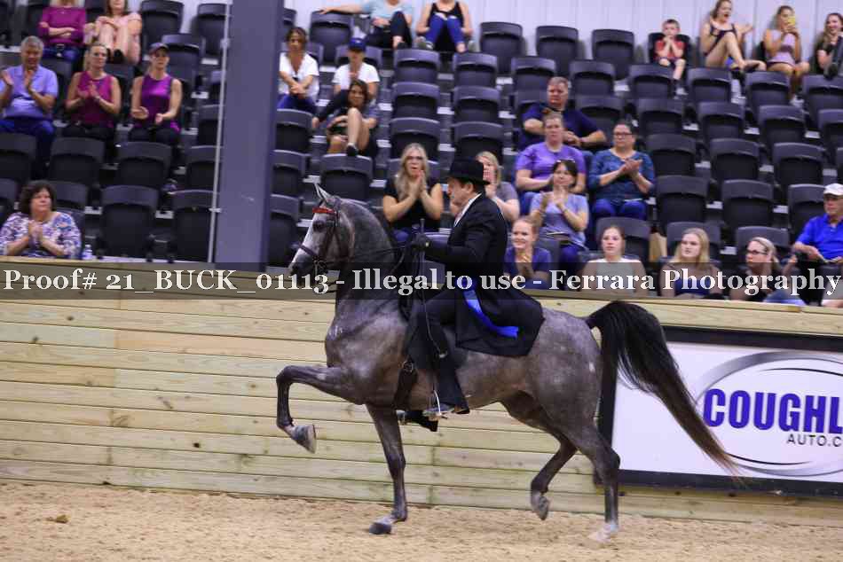 Proof 21_BUCK_01113