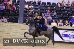 21_BUCK_01113 proof
