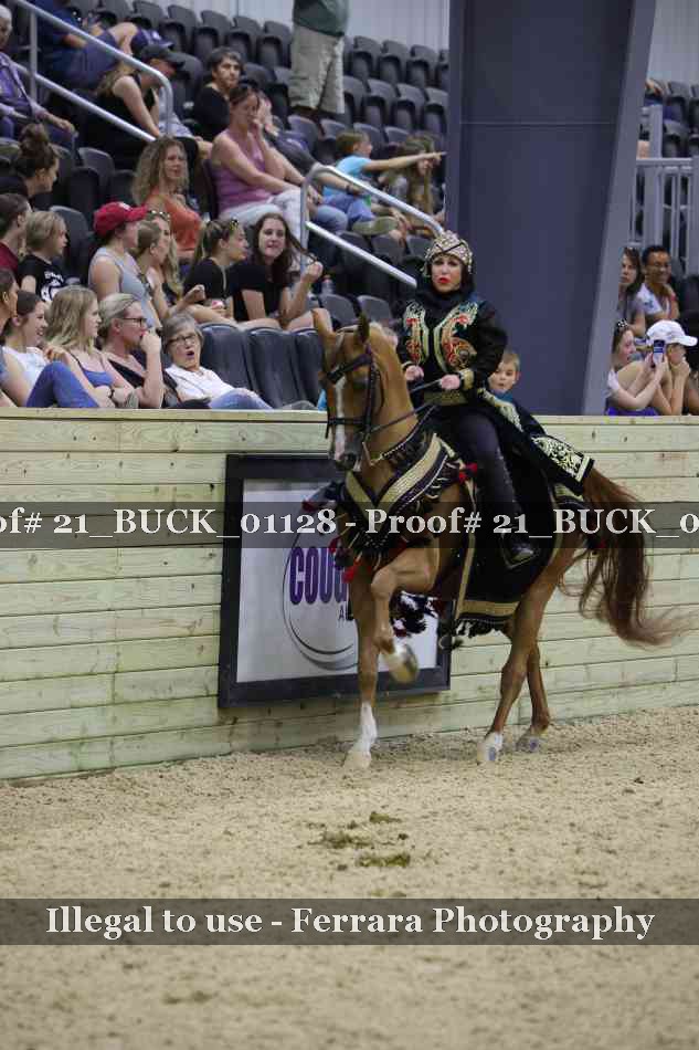 Proof 21_BUCK_01128
