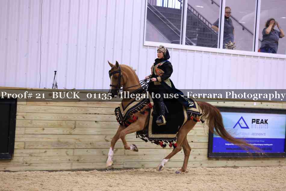 Proof 21_BUCK_01135