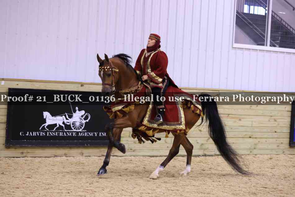 Proof 21_BUCK_01136