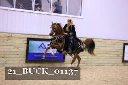 21_BUCK_01137 proof