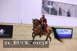 21_BUCK_01138 proof