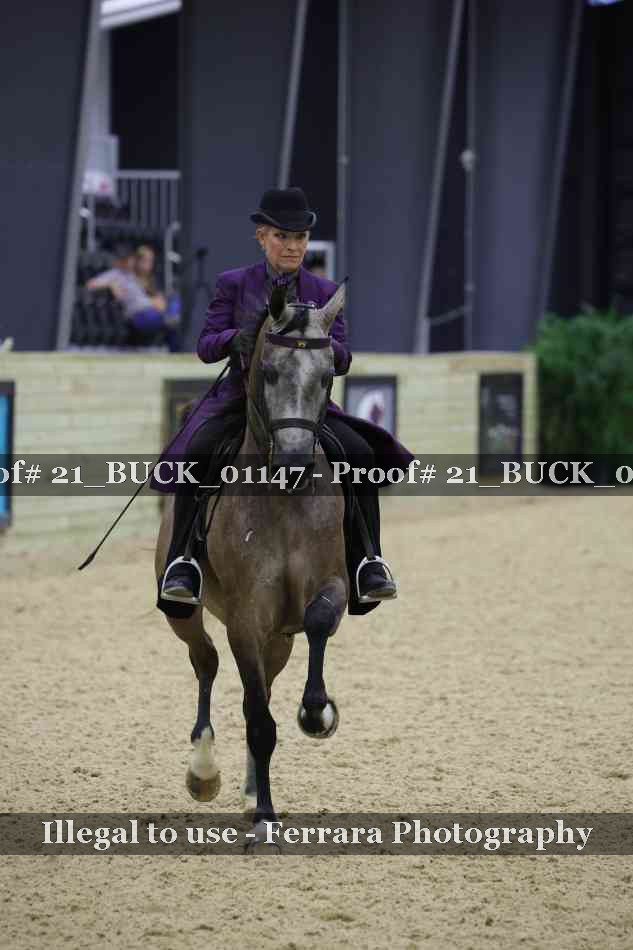 Proof 21_BUCK_01147