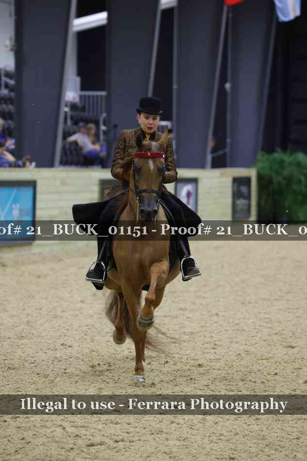 Proof 21_BUCK_01151