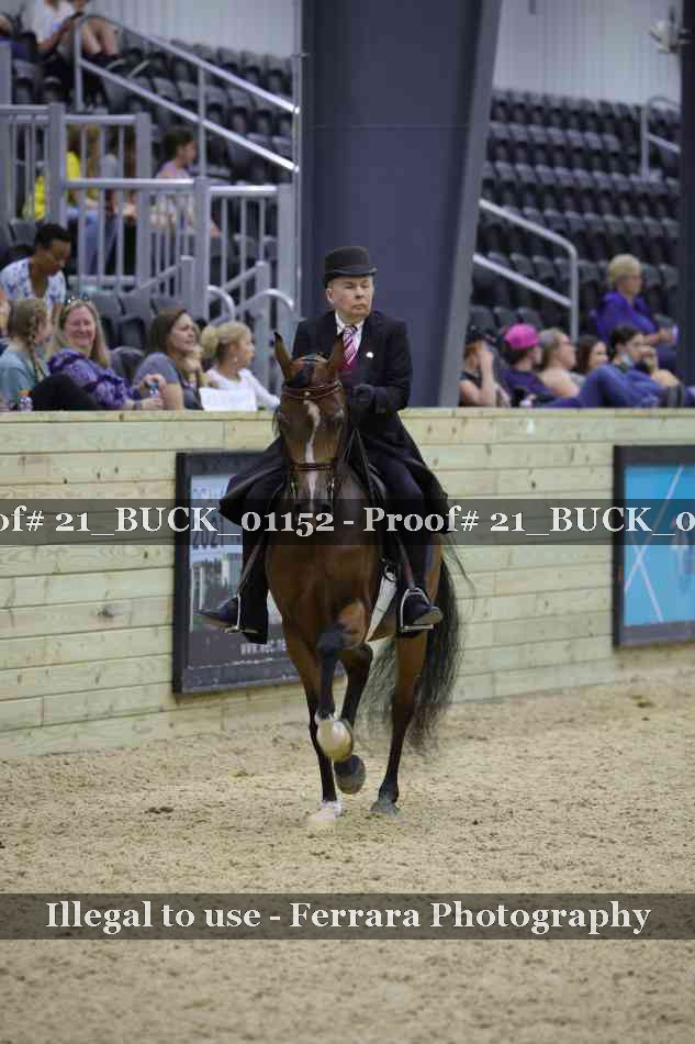Proof 21_BUCK_01152
