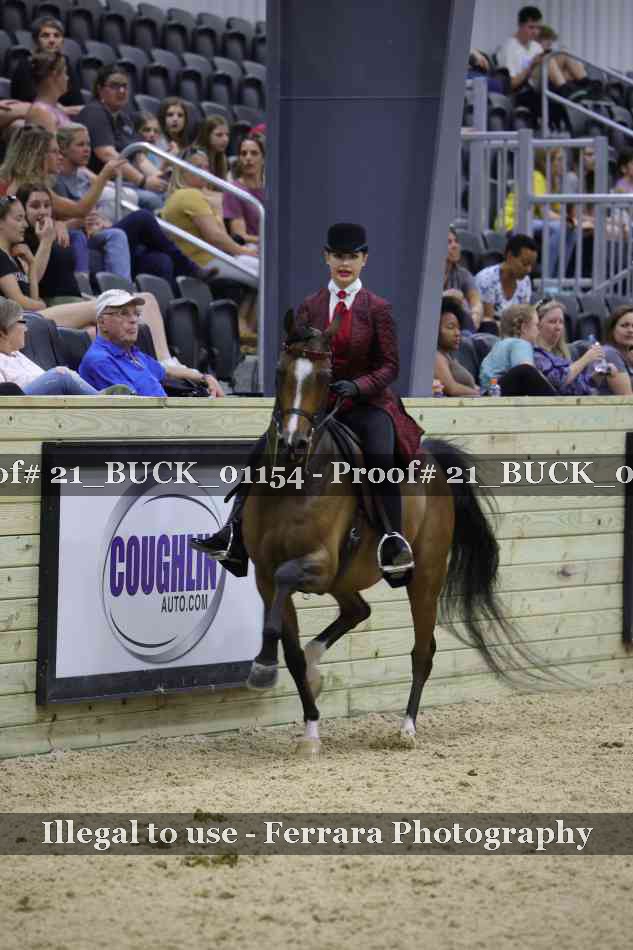 Proof 21_BUCK_01154