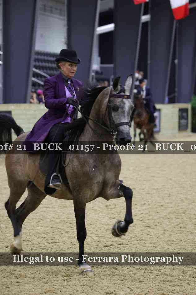 Proof 21_BUCK_01157