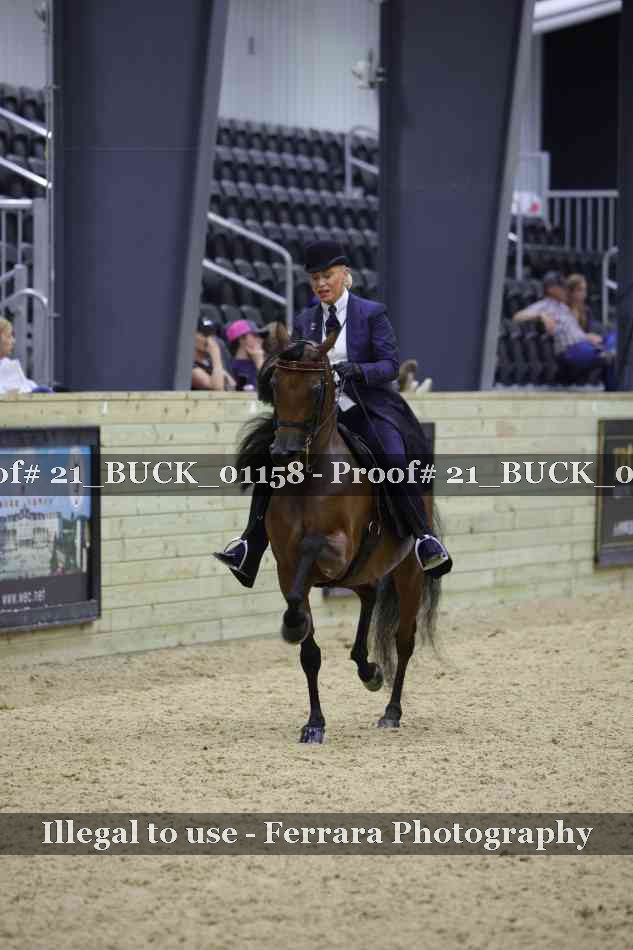 Proof 21_BUCK_01158