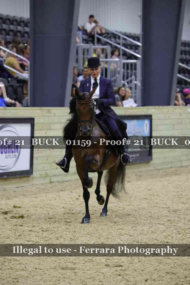 Proof 21_BUCK_01159