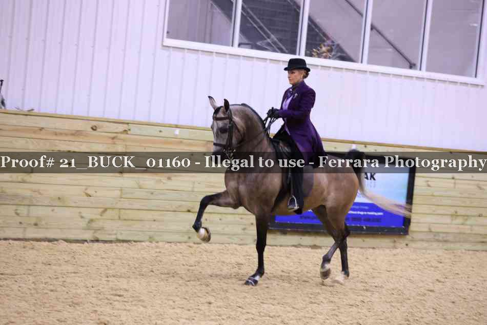 Proof 21_BUCK_01160