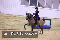 21_BUCK_01160 proof