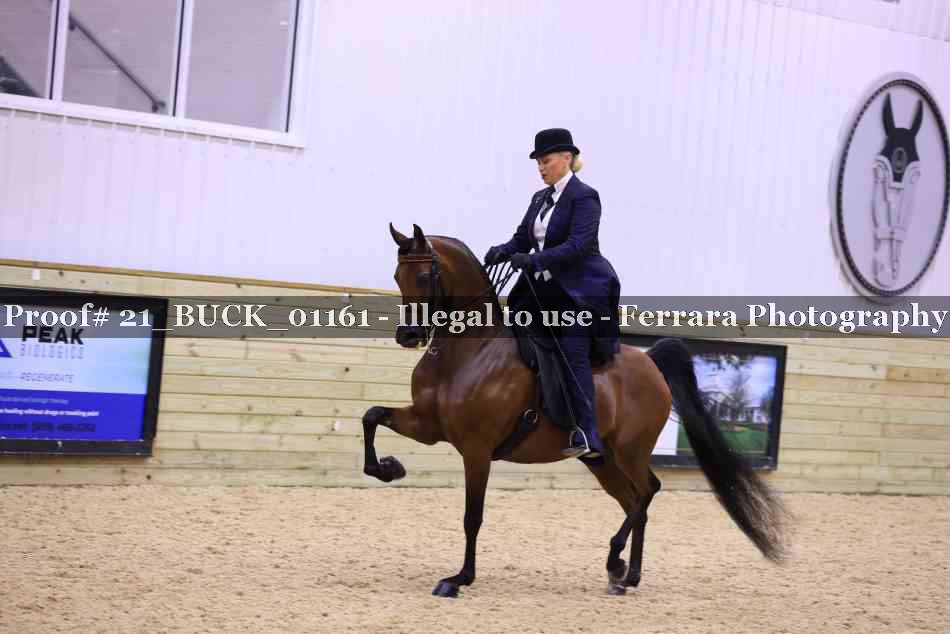 Proof 21_BUCK_01161