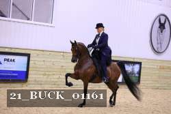 21_BUCK_01161 proof