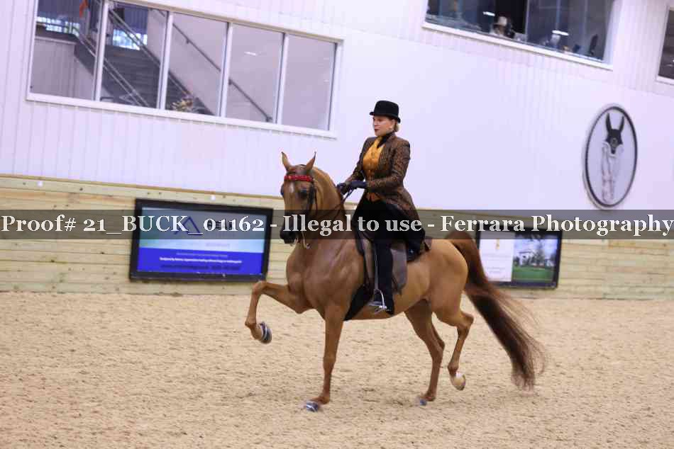 Proof 21_BUCK_01162