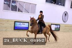 21_BUCK_01162 proof