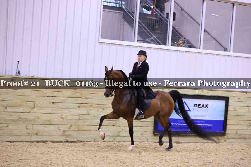 Proof 21_BUCK_01163