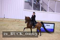 21_BUCK_01163 proof