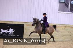 21_BUCK_01164 proof