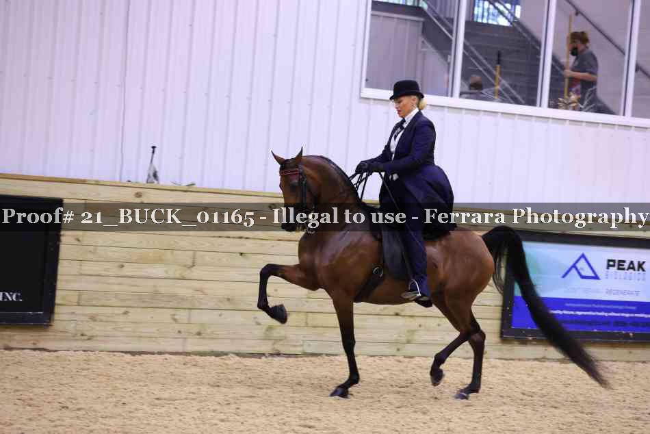 Proof 21_BUCK_01165