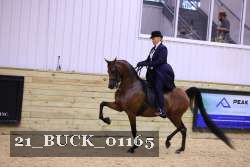21_BUCK_01165 proof