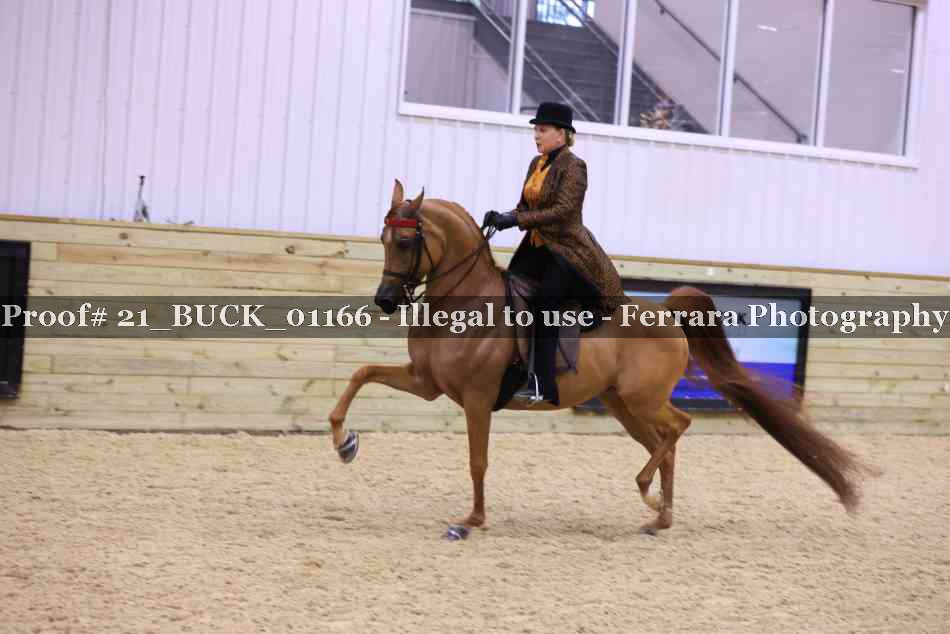 Proof 21_BUCK_01166