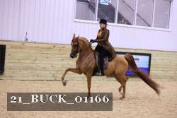21_BUCK_01166 proof