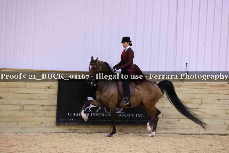 Proof 21_BUCK_01167