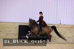 21_BUCK_01167 proof