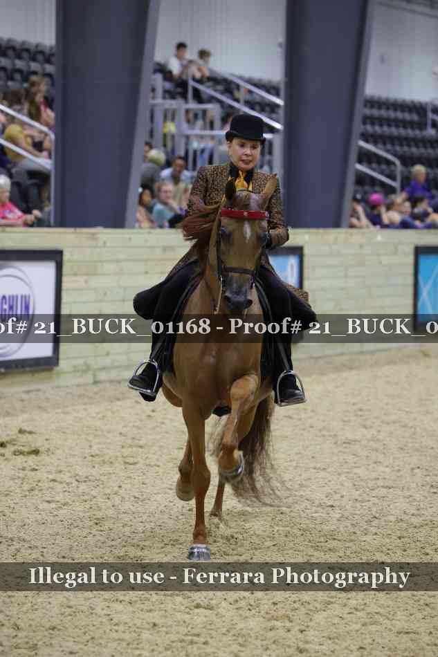 Proof 21_BUCK_01168